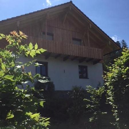 Apartmán Schweizer Haeusl Bayerisch Eisenstein Exteriér fotografie