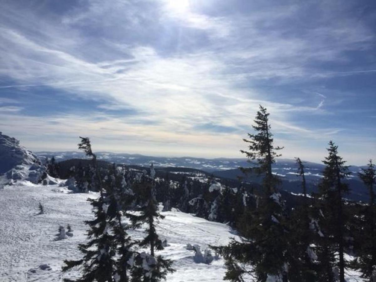 Apartmán Schweizer Haeusl Bayerisch Eisenstein Exteriér fotografie